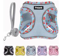 Petank Dog Harness for Small Medium Dogs No Pull, Puppy Harness and Leash Set, Mesh Adjustable Breathable Light Vest for Walking, Running, Training. (Light Blue, M)