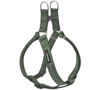 Petarea Step in Dog Harness, Reflective Adjustable Vest Harness for Small Medium and Large Breed Dogs, No Pull Dog Harness, Walking Training Control Harnesses (Green, Small)