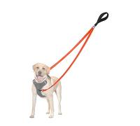 PetBonus Two Point Control Dog Lead, Works with No Pull Harnesses, No Tangle Training Leads, Soft Padded and Reflective Walking Lead, Converts to Single Lead for Medium Large Dogs (Orange)