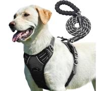PetBuds Adjustable No Pull Dog Harness with Free 5ft Leash, Breathable & Durable for All Breeds (Black, Medium)