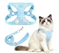 PETCARE Cute Cat Harness and Leash Set Blue Floral Daisy Cat Vest Harness Lightweight Adjustable Step in Spring Summer Soft Mesh Sunflower Cats Walking Harnesses and Leash, XXS