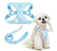 PETCARE Cute Small Dog Harness and Leash Set Blue Floral Daisy Puppy Harness Vest Adjustable Step in Spring Summer Soft Mesh Sunflower Girl Dog Harnesses for Chihuahua Yorkie Pomeranian Shih Tzu, M