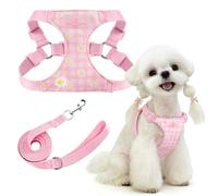PETCARE Cute Small Dog Harness and Leash Set Pink Floral Daisy Puppy Harness Vest Adjustable Step in Spring Summer Soft Mesh Sunflower Girl Dog Harnesses for Chihuahua Yorkie Pomeranian Shih Tzu, M