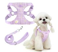 PETCARE Cute Small Dog Harness and Leash Set Purple Floral Daisy Puppy Harness Vest Adjustable Step in Spring Summer Soft Mesh Flower Girl Dog Harnesses for Chihuahua Yorkie Pomeranian Shih Tzu, M