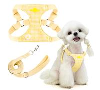 PETCARE Cute Small Dog Harness and Leash Set Yellow Floral Daisy Puppy Harness Vest Adjustable Step in Spring Summer Soft Mesh Flower Girl Dog Harnesses for Chihuahua Yorkie Pomeranian Shih Tzu, M