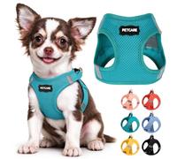 PETCARE Small Dog Harness Easy Walk Step in Dog Harness All Weather Soft Breathable Mesh Puppy Harnesses Reflective Adjustable Harnesses for Chihuahua Yorkie Dachshund French Bulldog (Blue, M)