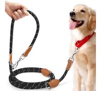 PETCOOZ 3M Dog Training Lead, Adjustable Double Ended Dog Leash, Reflective