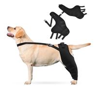 PETCUTE Dog Knee Brace,1 Pair Dog Elbow Brace Protector Pads,Adjustable Knee Brace Leg Support for Dogs Hind Legs Recover,Dog Leg Brace for Wound Injury and Sprain Healing of Arthritis
