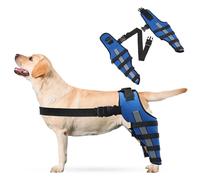 PETCUTE Dog Leg Brace,1 Pair Dog Back Leg Support,Adjustable Knee Brace Leg Support for Dogs Hind Legs Recover,Dog Leg Brace for Wound Injury and Sprain Healing of Arthritis-XS(Blue)
