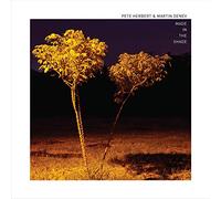 Pete Herbert & Martin Denev - Made In The Shade [VINYL]