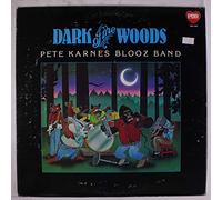 Pete Karnes Blooz Band - dark of the woods
