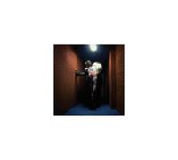 PETE SWANSON: PUNK AUTHORITY - LP vinyl BRAND NEW