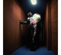 Pete Swanson - Punk Authority [New Vinyl LP]