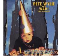 Pete Wylie - Don't Lose Your Dreams