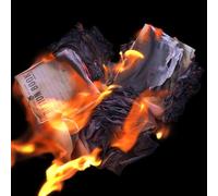 Peter Alexander Jobs - Burn The Ration Books Of Love - Vinyl Record - N4z