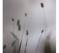 Peter Broderick - FLOAT