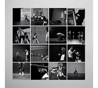 Peter Broderick - Music For Falling From Trees [VINYL]