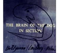 Peter Brötzmann/Fred Lonber - In Section