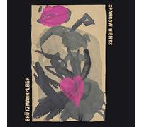 Peter Brötzmann / Heather Leigh - Sparrow Nights