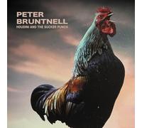 Peter Bruntnell - Houdini And The Sucker Punch [Vinyl]
