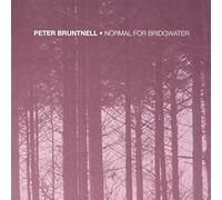 Peter Bruntnell - Normal For Bridgwater (Ltd RSD 2020 LP) [VINYL]