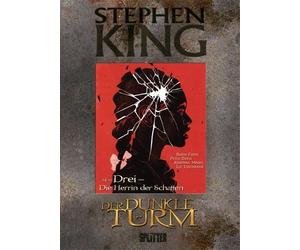 Peter David Robin Furth Ste Stephen King - Der Dunkle Turm. Band 14: (Hardback)