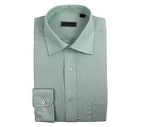 Peter England Mens Plain King Size Shirt in Sage Size 22
