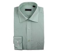 Peter England Mens Plain Shirt-Sage-17.5