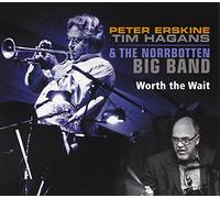 PETER ERSKINE/TIM HAGANS/NORRBOTTEN BIG - Worth the Wait