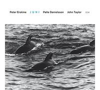 Peter Erskine Trio - Juni