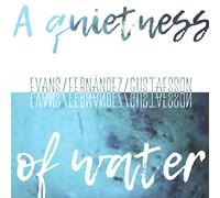 Peter Evans & Agusti Fernandez & Mats Gustafsson - A QUITNESS OF WATER - PETER EV
