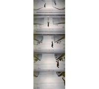 Peter Fischli - Addition, Subtraction, Multiplication: Ausst. Kat. LUMA, Arles u. Pinacoteca Agnelli, Turin