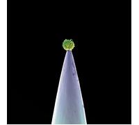 Peter Gabriel CD New Blood / Real World Records Sealed 5099967855223