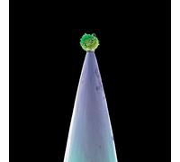 Peter Gabriel - New Blood