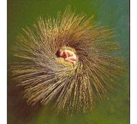 OVO (Peter Gabriel's Millennium Dome Show Soundtrack Album) SEALED CD