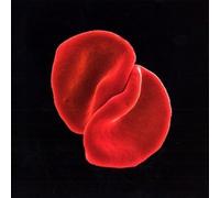 Peter Gabriel - Scratch My Back