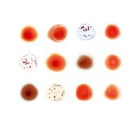 Peter Gabriel - Scratch My Back/And I'll Scratch Yours