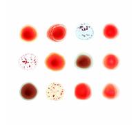 Peter Gabriel Scratch My Back/And I'll Scratch Yours (CD) Album (US IMPORT)