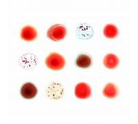PETER GABRIEL: SCRATCH MY BACK AND I'LL SCRATCH YOURS (DELUXE EDITION) 2 CD NEW