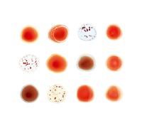 Peter Gabriel Scratch My Back / and I'll Scratch Yours Double CD 800213 NEW