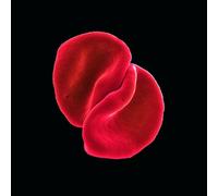 Peter Gabriel - Scratch My Back