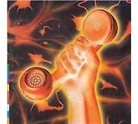 Peter Gabriel - Peter Gabriel-secret World Live [CD]