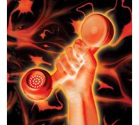 Peter Gabriel : Secret World Live VINYL 12" Album 2 discs (2020) NEW