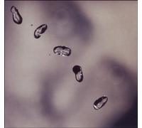 Peter Gabriel Up (Reis) (Rmst) (Dig) (CD) (US IMPORT)