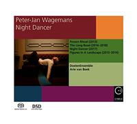 Peter-Jan Wagemans - Night Dancer