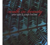 Peter Kater;Joseph Firecrow - Walk In Beauty