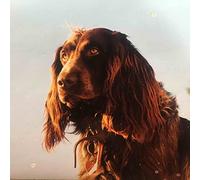 Peter Kernel - The Size Of The Night