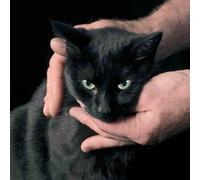 Peter Kernel - White Death Black Heart [VINYL]