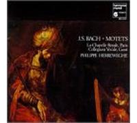 Peter Kooy - Bach: Motets /La Chapelle Royale · Herreweghe