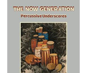 Peter Ludemann & Pit Troja - The Now Generation: Percussive Underscores